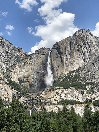 Vertical Image 5