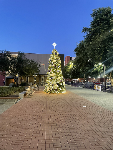 Vertical Image 1